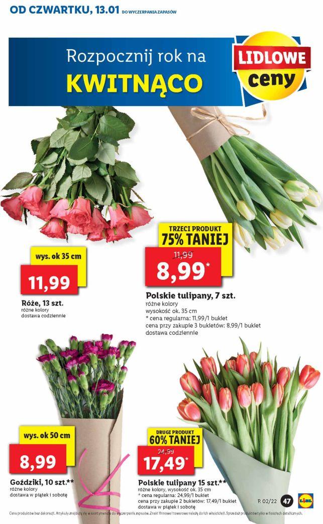 Gazetka promocyjna Lidl str. 47
