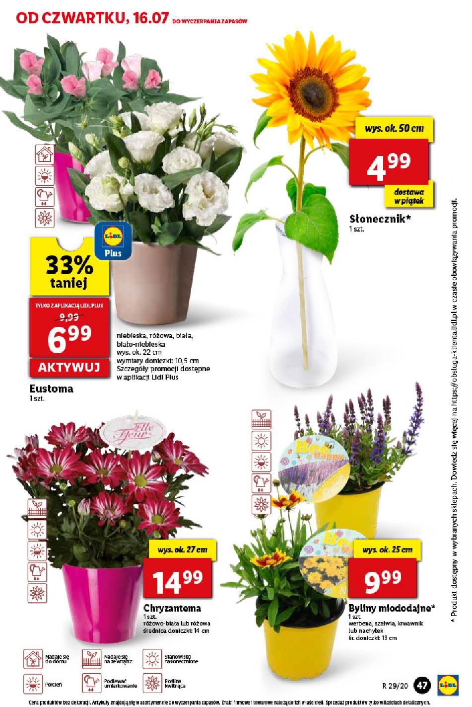 Gazetka promocyjna Lidl str. 47