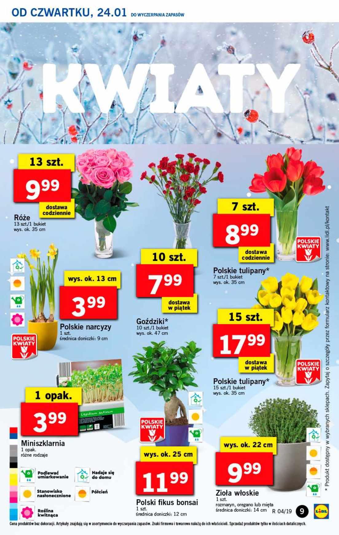Gazetka promocyjna Lidl str. 9