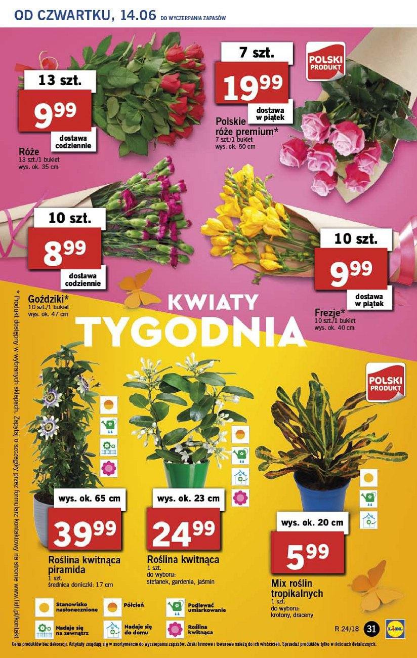Gazetka promocyjna Lidl str. 31