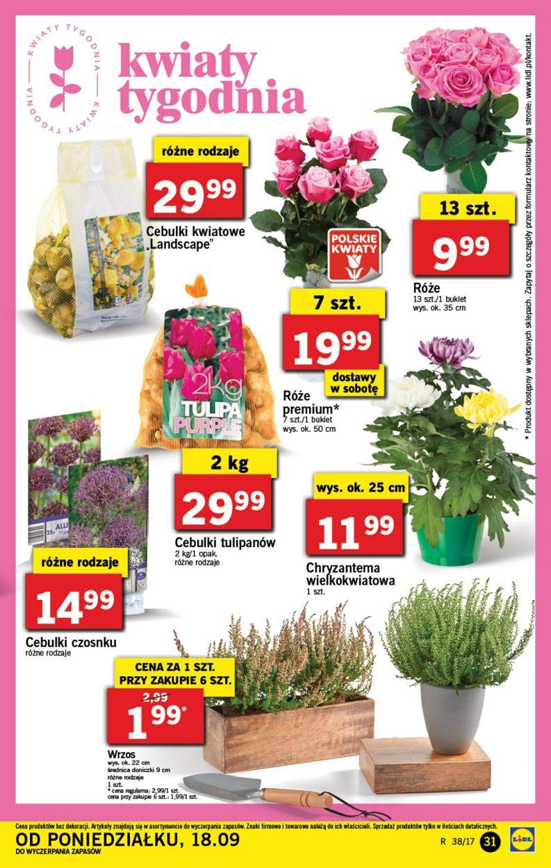 Gazetka promocyjna Lidl str. 31