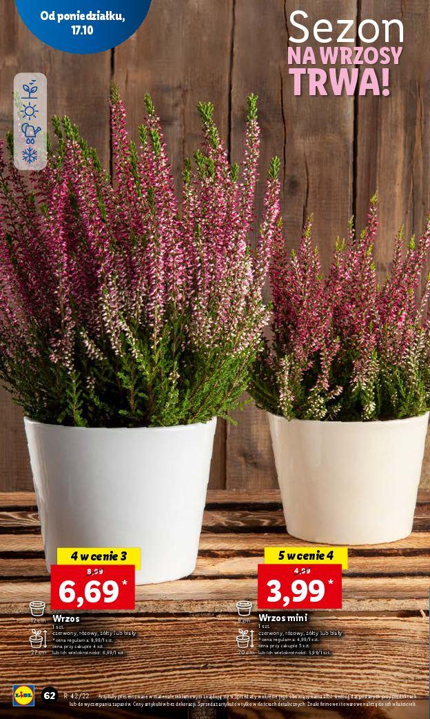 Gazetka promocyjna Lidl str. 70