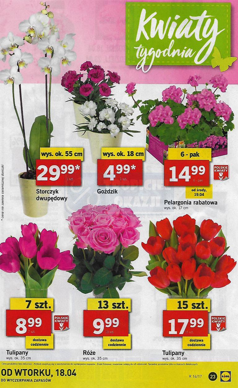 Gazetka promocyjna Lidl str. 23