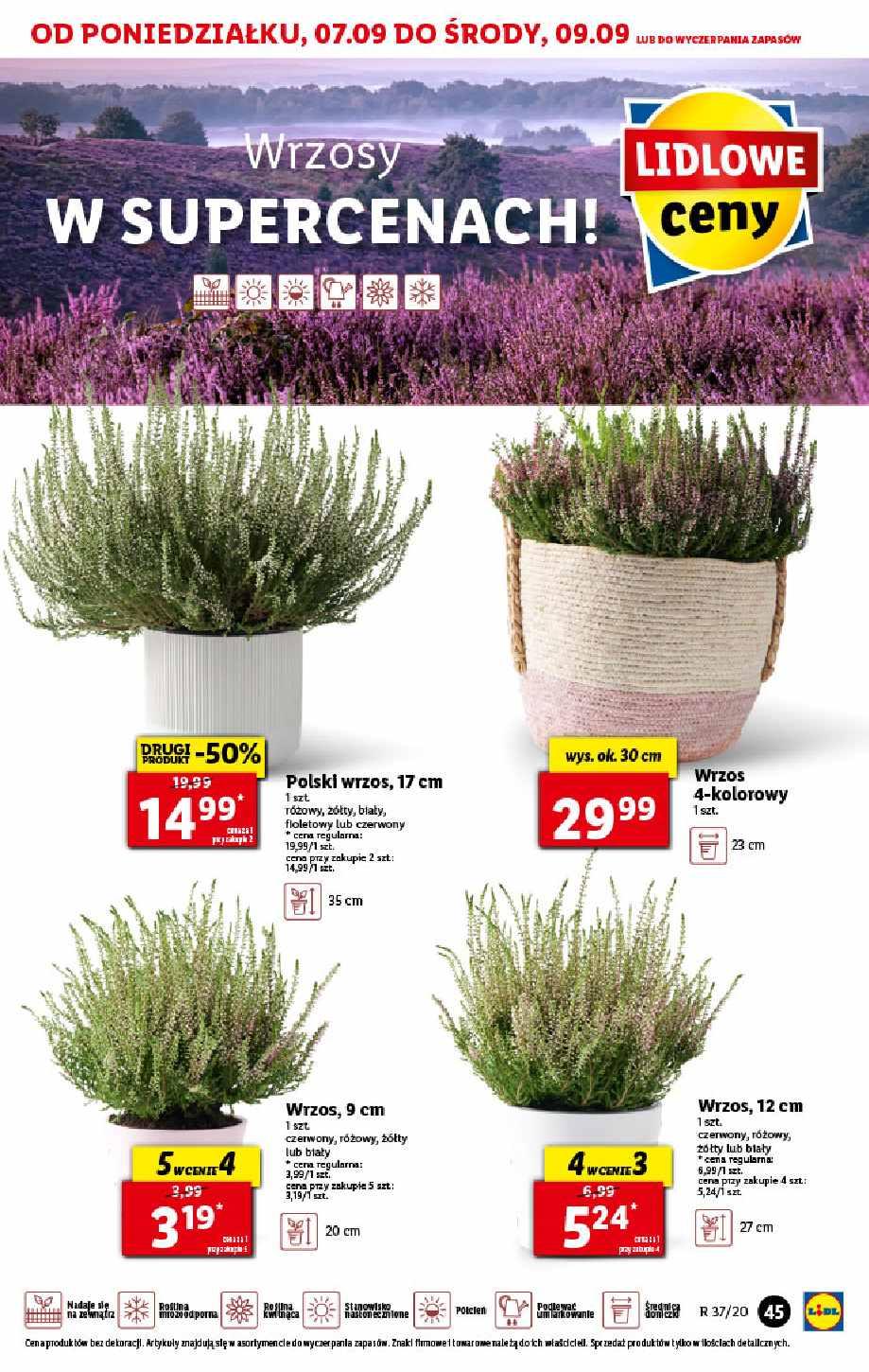Gazetka promocyjna Lidl str. 45