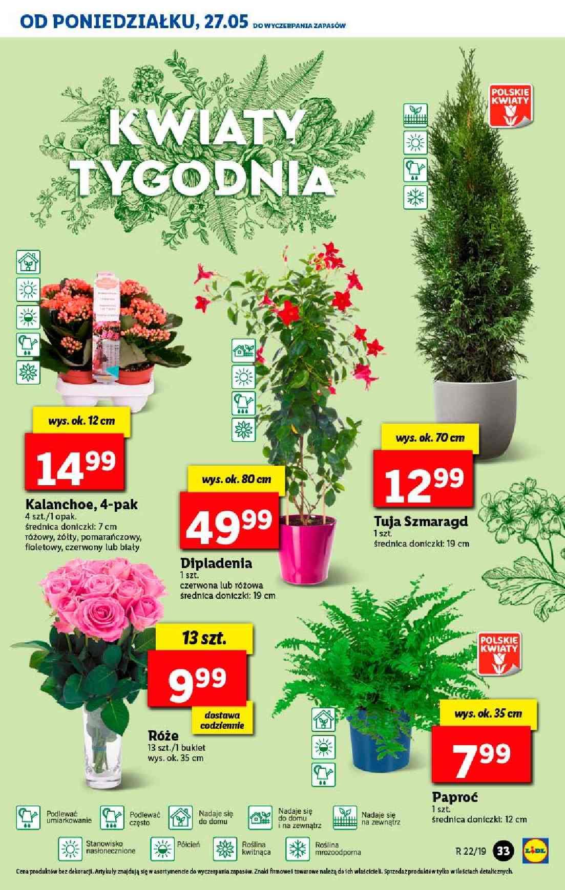 Gazetka promocyjna Lidl str. 33