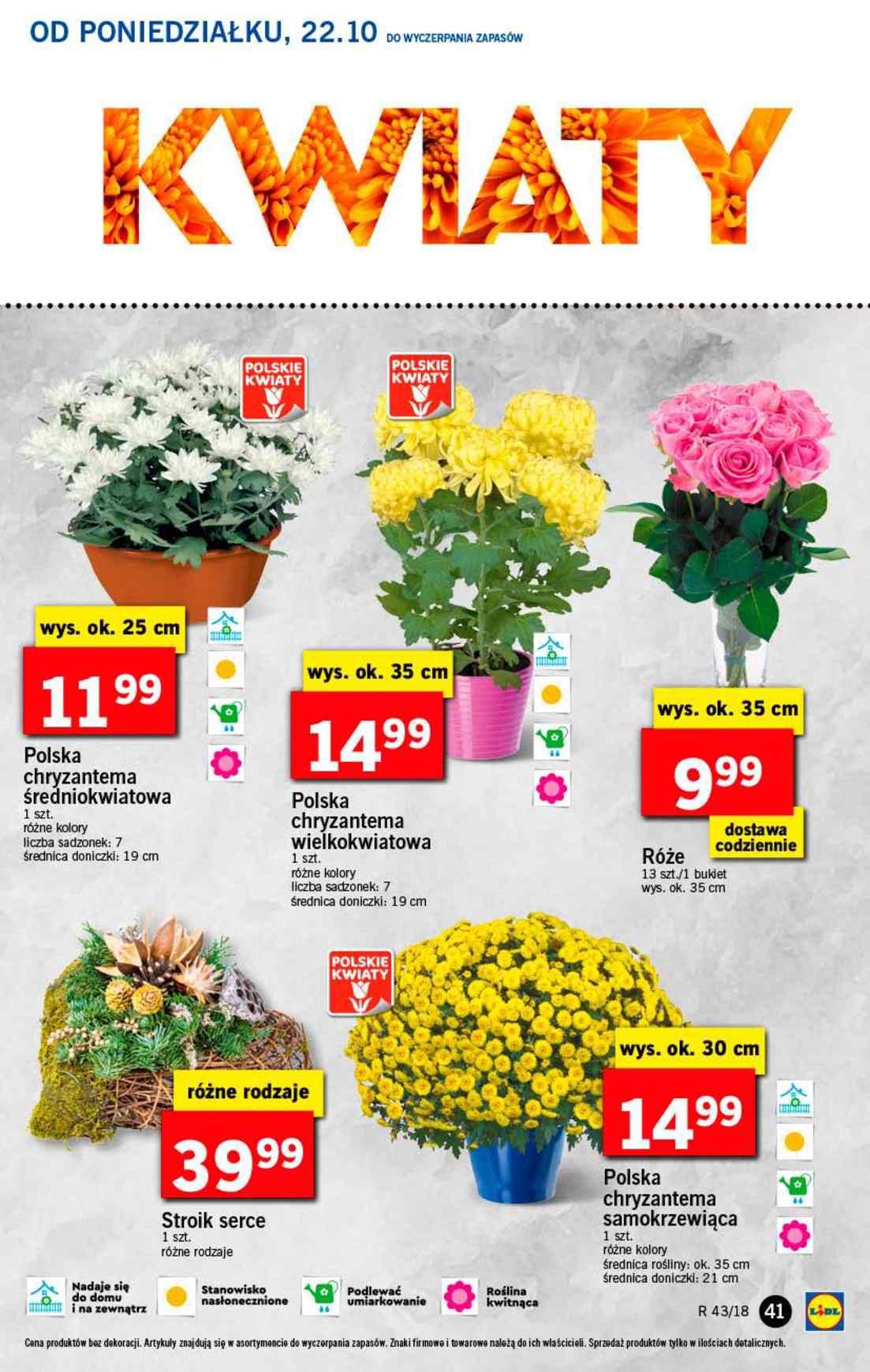 Gazetka promocyjna Lidl str. 41