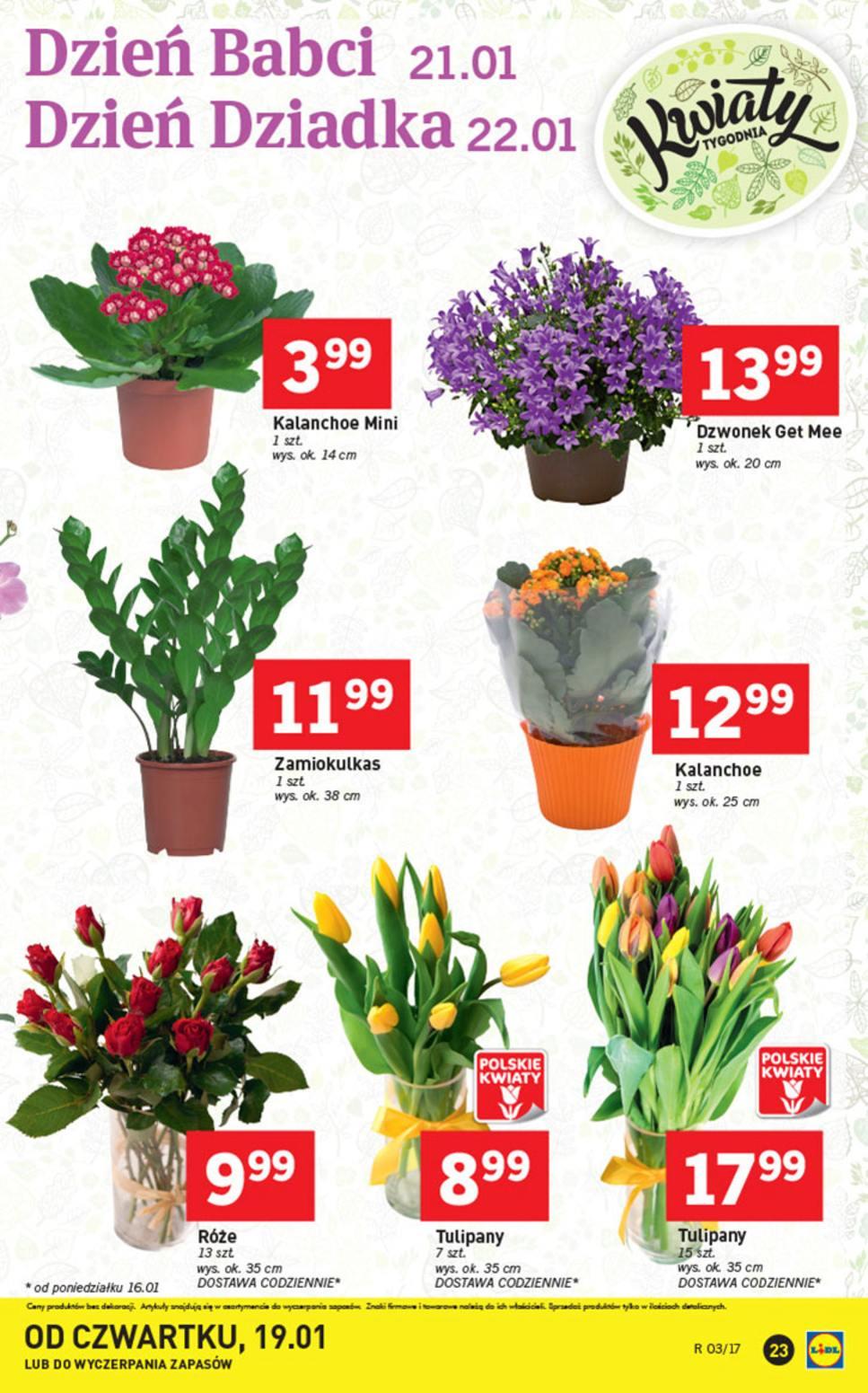 Gazetka promocyjna Lidl str. 23