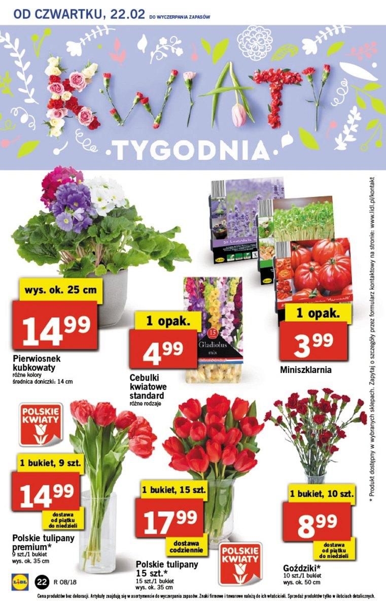 Gazetka promocyjna Lidl str. 22